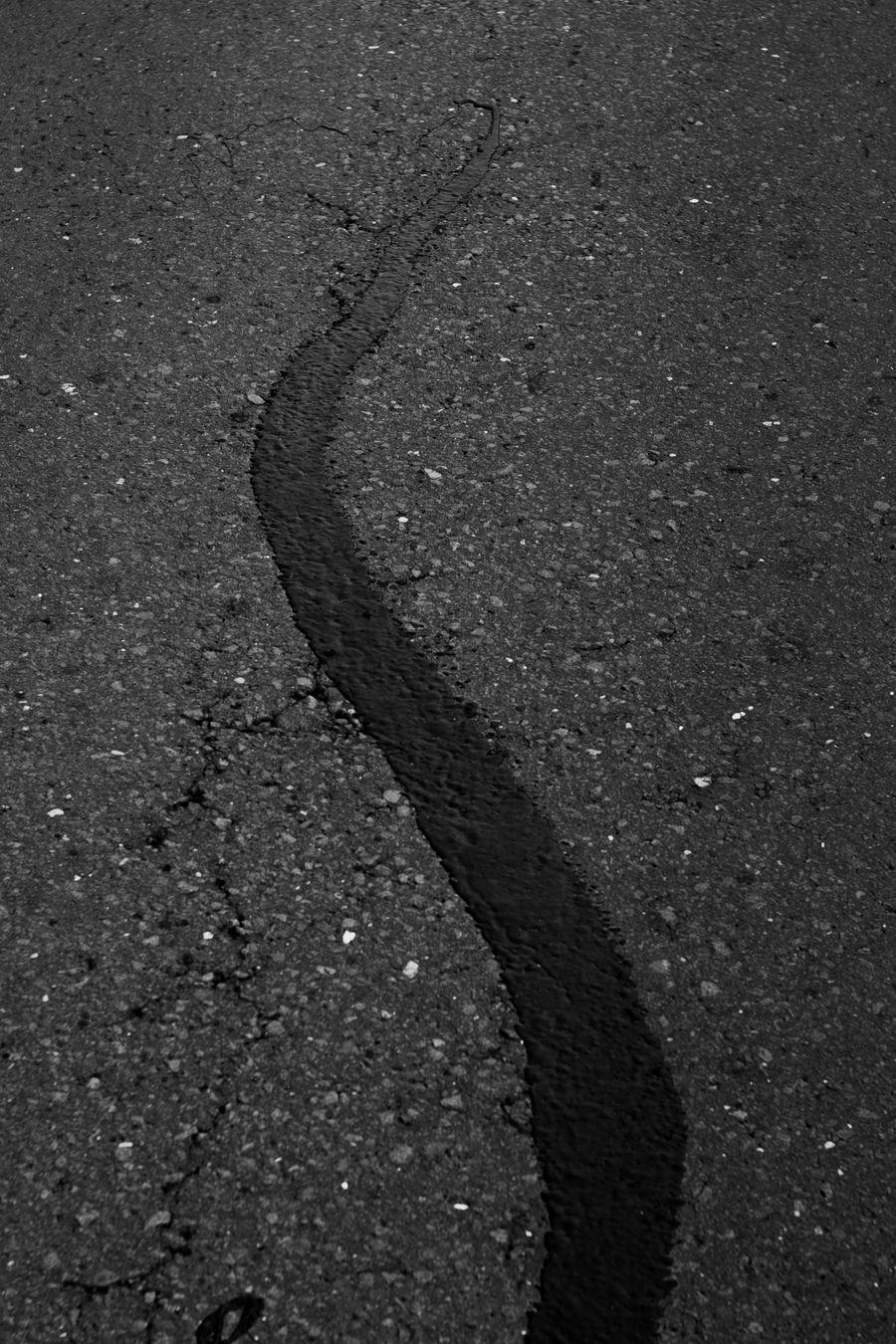 A filled and sealed crack running through asphalt